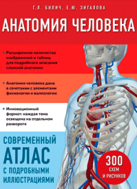Анатомия человека. Г. Л. Билич, Е. Ю. Зигалова