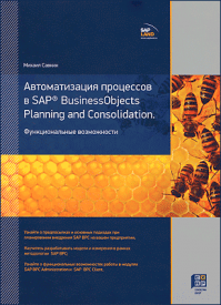 Автоматизация процессов в SAP BusinessObjects Planning and Consolidation. Михаил Савкин