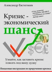 Кризис: экономический шанс. Александр Евстегнеев