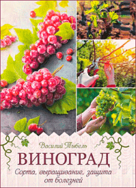Виноград. Сорта, выращивание, защита от болезней. Василий Тыбель