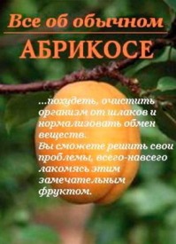 Все об обычном абрикосе. Иван Дубровин