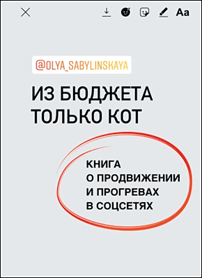 Книга Из бюджета только кот. Книга о продвижении и прогревах в социальных сетях Из бюджета только кот. Оля Сабылинская