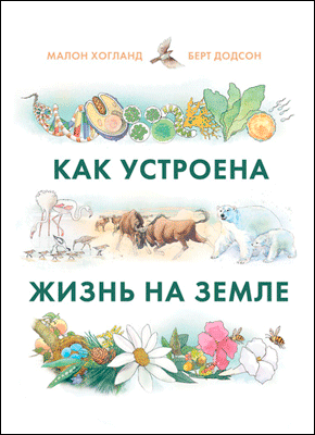 как устроена жизнь на земле миф. Смотреть фото как устроена жизнь на земле миф. Смотреть картинку как устроена жизнь на земле миф. Картинка про как устроена жизнь на земле миф. Фото как устроена жизнь на земле миф