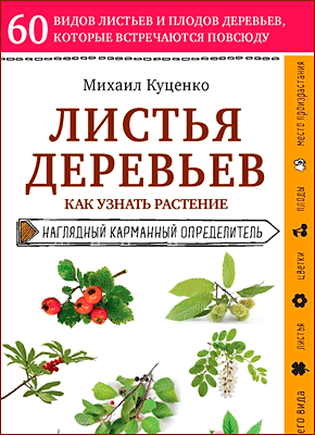 Книга Листья деревьев. Как узнать растение Листья деревьев. Михаил Куценко