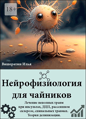 Книга Нейрофизиология для чайников. Лечение неполных травм при инсультах, ДЦП, рассеянном склерозе, спинальных травмах. Теория делинизации Нейрофизиология для чайников. Илья Вишератин