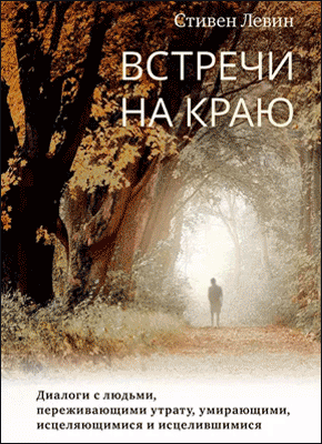 Книга Встречи на краю. Диалоги с людьми, переживающими утрату, умирающими, исцеляющимися и исцелившимися Встречи на краю. Стивен Левин