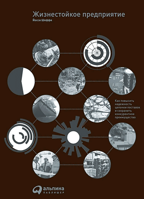 Жизнестойкое предприятие. Йосси Шеффи