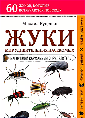 Книга Жуки. Мир удивительных насекомых Жуки. Мир удивительных насекомых. Михаил Куценко